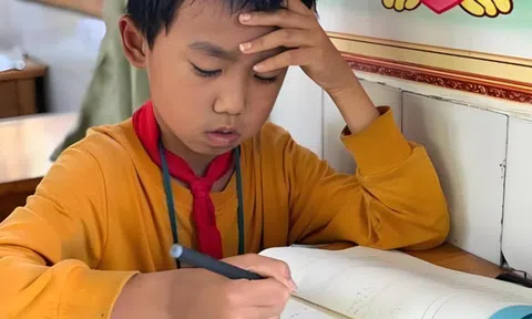 Nghiên cứu phát hiện: 1 thủ phạm nguy hiểm, âm thầm khiến con bạn sụt giảm 4-5 điểm IQ!