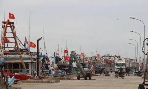 Ninh Bình đề xuất xây dựng cảng biển nước sâu tại khu kinh tế Ninh Cơ