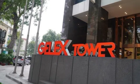 Điều gì đang xảy ra với hai cổ phiếu liên quan Tập đoàn Gelex