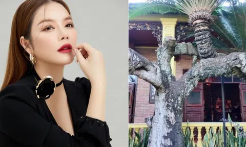 Loài cây độc nhất Việt Nam, siêu giá trị trong biệt phủ trăm tỷ, rộng 10.000 mét vuông của Lý Nhã Kỳ