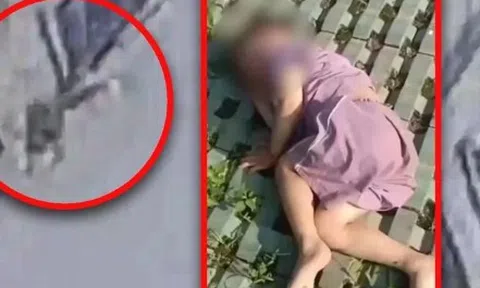 Ngã từ tầng 18, cậu bé 3 tuổi thoát chết kỳ diệu nhờ chạm vào cây