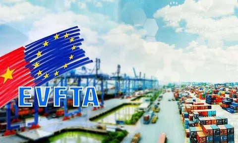 EVFTA sau 5 năm: Việt Nam - EU giao thương gần 300 tỷ USD