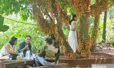 Người dân đổ xô đến quán cà phê ở Huế vì “cảnh tượng kỳ lạ” này