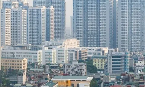 Đánh thuế mua bán nhà đất cao có giúp giảm giá nhà?
