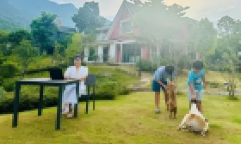 Lối đi cho cha mẹ bận rộn muốn có thêm thu nhập ổn định