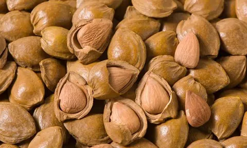 Ăn trái cây đừng ăn phần nguy hiểm này: Có thể gây ngộ độc, thậm chí dẫn đến tử vong