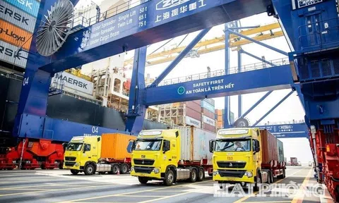 Cảng thông minh tiên của Việt Nam có thành tích ấn tượng, chủ đầu tư muốn được thực hiện thêm các dự án khu công nghiệp, thương mại, logistics