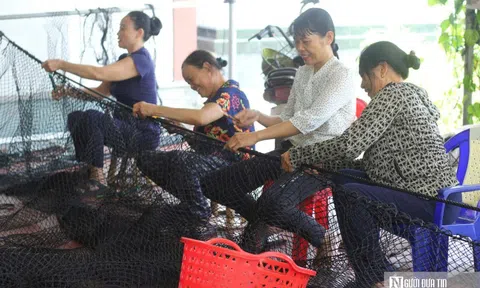 Tỉ mẩn với nghề đan lưới lồng ở làng Trung Sơn