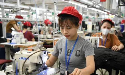 Mỹ áp thuế 20% với hàng xuất khẩu Việt Nam: Dệt may, thủy sản tìm cơ hội mới để giữ thị phần
