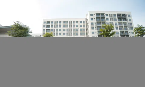 Nam Long lãi hơn 200 tỷ đồng sau nửa năm, gấp 3 lần cùng kỳ