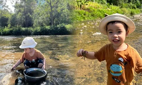 Cho "trai phố" về quê đi mò cua bắt ốc, lăn lộn giữa thiên nhiên, mẹ bỉm ở Hà Nội có cách dạy con trải nghiệm sống thú vị
