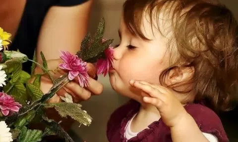 Nghiên cứu mới nhất: Ngửi 7 mùi hương này mỗi ngày giúp cải thiện trí nhớ tới 226% và ngừa bệnh Alzheimer