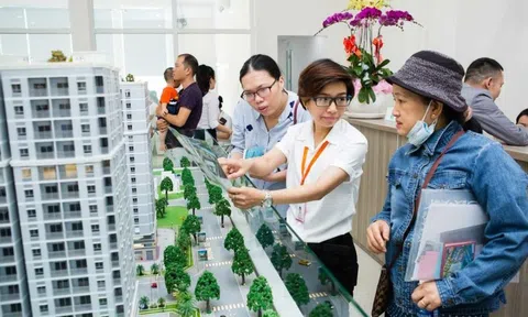 Bảng giá đất áp dụng từ đầu 2026, thị trường có biến động mạnh?