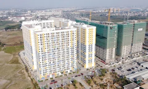 Công ty không xác nhận thu nhập để mua nhà ở xã hội, người lao động cần làm gì?