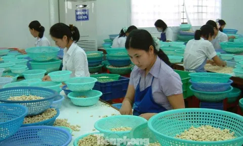 Đàm phán thương mại cần 'ông cho chân giò, bà thò chai rượu'