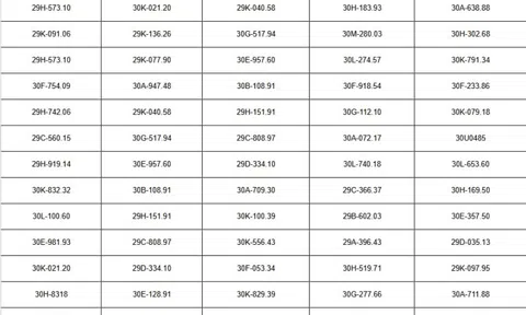 Hơn 70 chủ xe Hà Nội có biển số sau nhanh chóng nộp phạt nguội theo Nghị định 168
