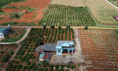 Sửa Luật đất đai: Giá đất vẫn phải sát giá thị trường