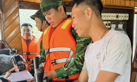 Đà Nẵng ra quân cao điểm chống khai thác hải sản bất hợp pháp