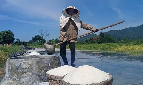 Diêm dân miệt mài giữa nắng đỉnh điểm, thu nhập vỏn vẹn 200.000 đồng mỗi ngày