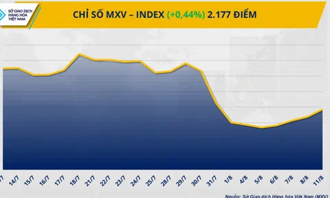 Chỉ số MXV-Index có phiên phục hồi thứ 4 liên tiếp, cà phê dẫn dắt đà tăng