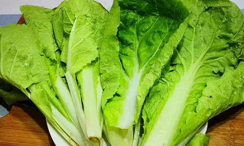 4 loại rau cực hút sâu, dễ bị phun đẫm thuốc trừ sâu, nhưng nhiều người mê tít