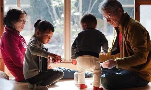 Nhân sinh có 3 việc không nên làm: Trẻ bị chê ngốc, già mới thức tỉnh sự mù quáng nhưng quá muộn