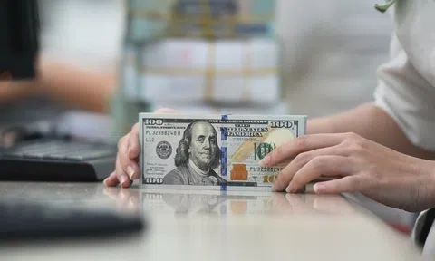 Giá USD cao chưa từng thấy