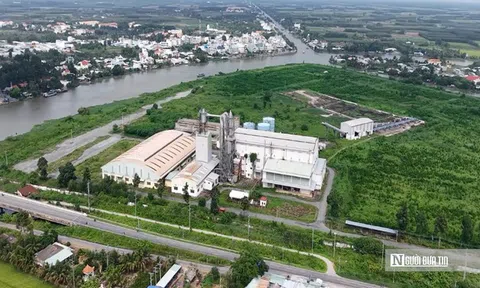 Nhà máy bột giấy nghìn tỷ bỏ hoang, 45ha "đất vàng" phủ đầy cỏ dại