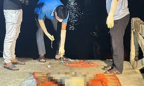 Phát hiện thi thể không nguyên vẹn trôi dạt trên biển