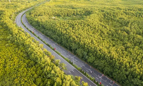 VinSpeed đề xuất làm đường sắt 350 km/h, TP.HCM đi Cần Giờ chỉ 15 phút