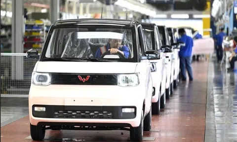 Cổ phiếu nhà phân phối xe điện Wuling bị cảnh báo