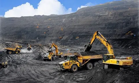 Tại sao tài nguyên luôn bị khai thác quá mức?