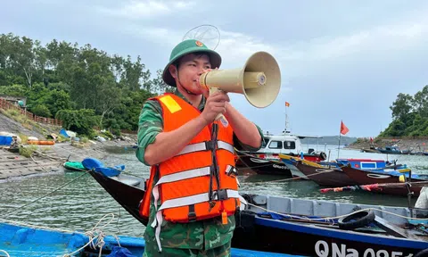 Chạy đua với bão Kajiki: Đà Nẵng kêu gọi tàu thuyền về bờ neo đậu, hỗ trợ dân chằn chống nhà cửa