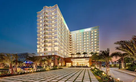 Đấu giá khoản nợ hơn 400 tỷ liên quan Đức Long Gia Lai