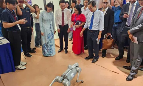 Sihub: Không gian mở cho đổi mới sáng tạo tại TP HCM