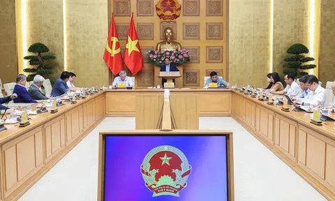 Thủ tướng giao nhiệm vụ cho ông Trương Gia Bình và ông Don Lâm