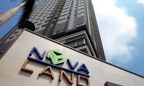 Novaland có Giám đốc tài chính mới