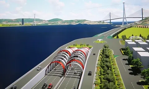 Việt Nam muốn xây hầm vượt biển gần 10.000 tỷ, tập đoàn TQ có doanh thu 76 tỷ USD vừa “ngỏ lời” gì?