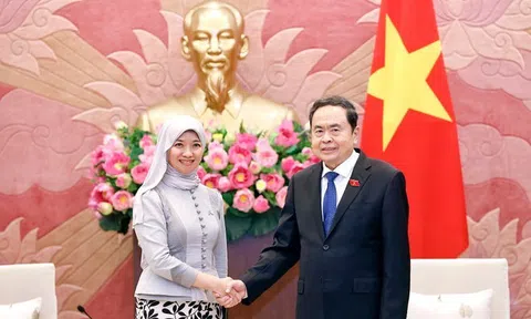Việt Nam là thành viên tích cực, trách nhiệm trong AIPA