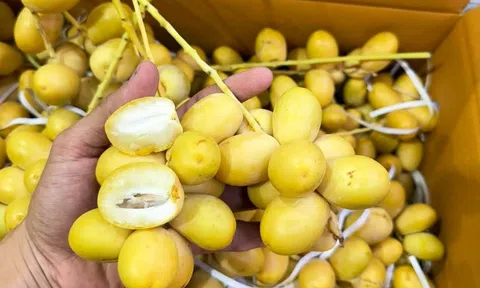 Loại quả kỳ lạ "cắn dọc thì ngọt, cắn ngang thì chát": Hóa ra là "khắc tinh" của ung thư và tiểu đường