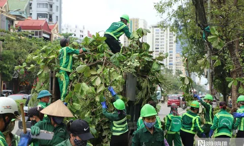 Nghệ An căng mình xử lý lượng rác "khổng lồ" sau bão