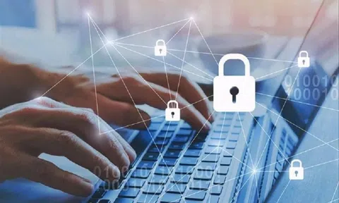 Nhức nhối nạn lừa đảo từ 'tài khoản ngân hàng ma'