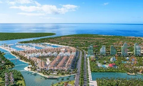 Thanh Hoá ra "tối hậu thư" với cụm công nghiệp hơn 49ha chậm tiến độ