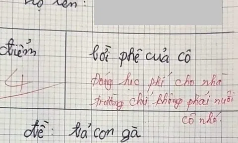 Học sinh lớp 3 viết văn tả gà, cô cho 4 điểm kèm lời phê: Lý do đằng sau khiến khán giả sửng sốt