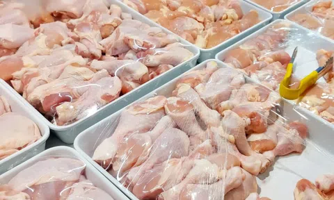 Người bán gà nói thẳng: "3 loại thịt gà dù bán rẻ mấy cũng đừng mua... tôi không bao giờ ăn"