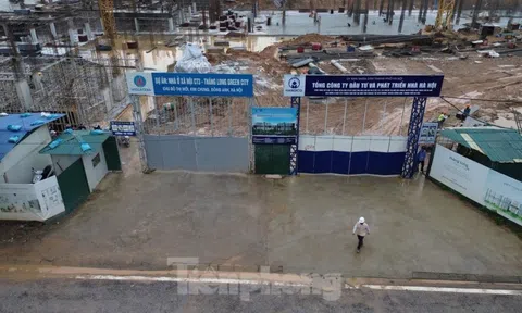 Kiến nghị kỷ luật lãnh đạo địa phương 'bất động' với nhà ở xã hội