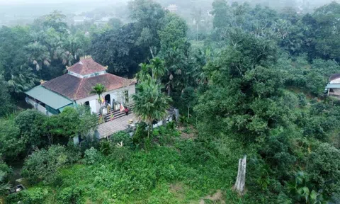 Hai 'báu vật sống' hơn 200 năm tuổi ở Hà Tĩnh: Trị giá trăm tỷ, nay chính thức trở thành Di sản Việt Nam