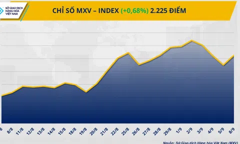 THỊ TRƯỜNG HÀNG HÓA: Chỉ số MXV-Index quay đầu phục hồi sau ba phiên suy yếu liên tiếp