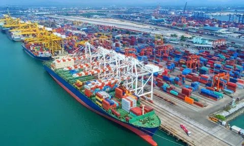 Ba cảng biển Việt Nam lọt top lớn nhất thế giới, xếp loại đặc biệt