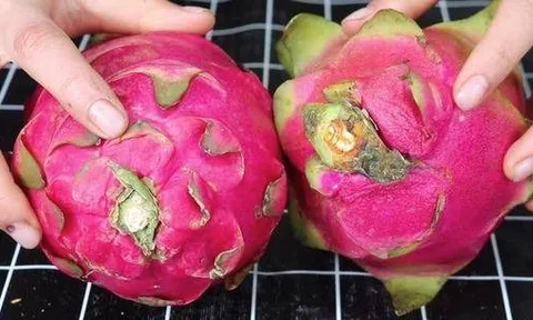 Mua thanh long thấy quả dài - quả ngắn, ruột trắng - ruột đỏ? Chủ vườn chỉ cách chọn "ngon quên lối về"!